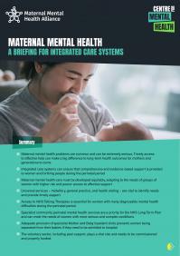 Maternal Briefing Report