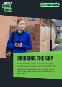 Bridging the gap - Centre for Mental Health