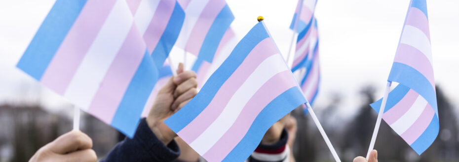 People holding transgender flags high in the sky